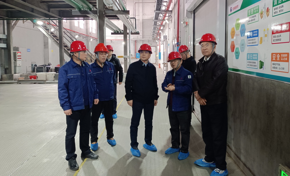 集团党委书记、董事长肖志勇开展“十五五”规划全覆盖专题调研