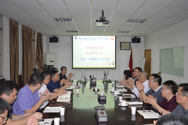 海利集团,长沙杀虫剂,长沙光气衍生物,长沙氨基酸保护剂,长沙锂离子电池材料